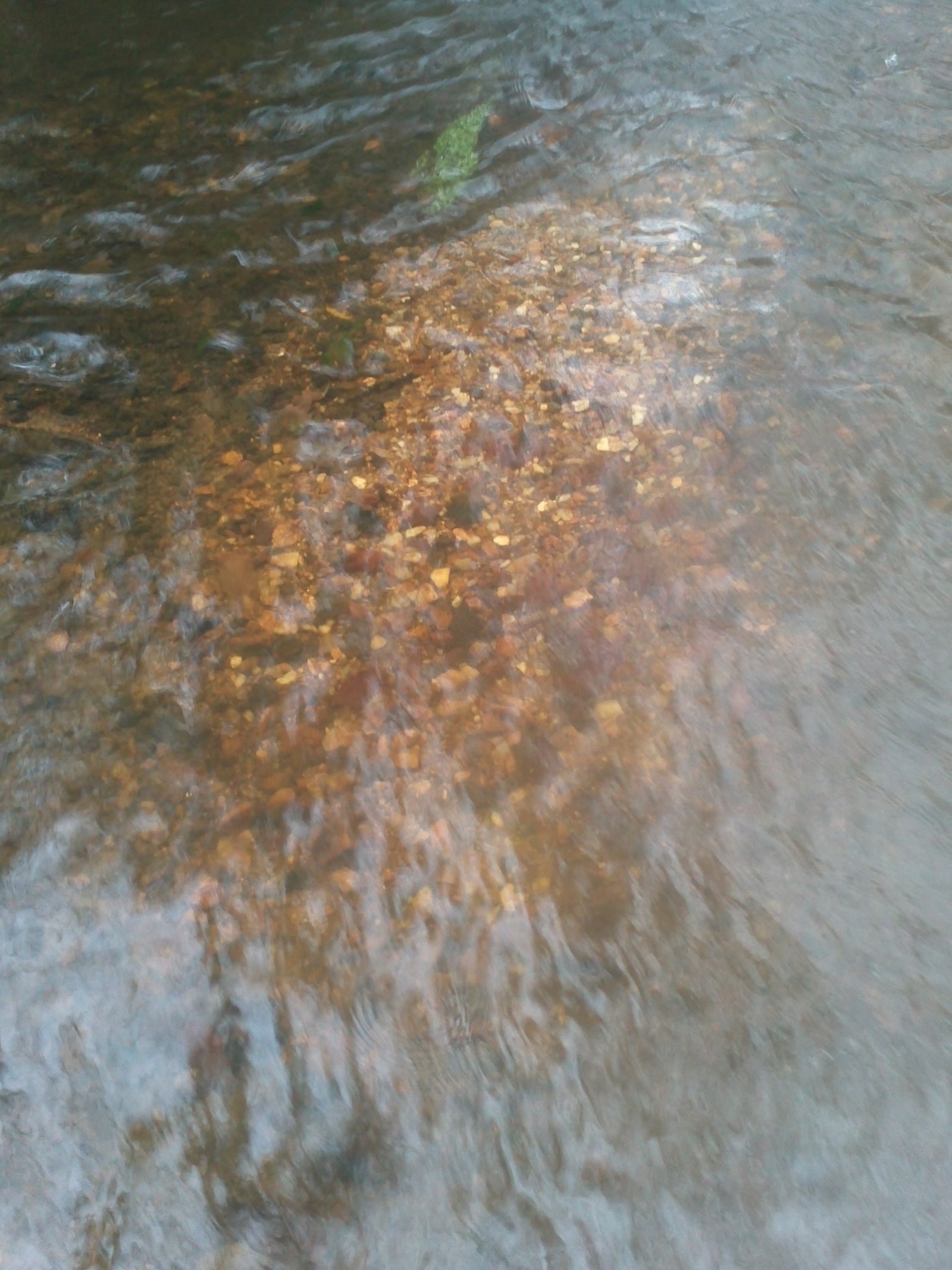 IMG236.jpg